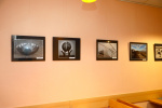 2025_FotoporoT-2