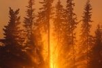 150