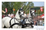 img_1059 img_1059