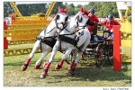 img_1879 img_1879