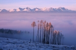 Jozef_Pazitny_Tatry z raja