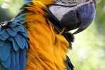 zoo-lesna-545 zoo-lesna-545