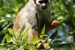 zoo-lesna-564 zoo-lesna-564